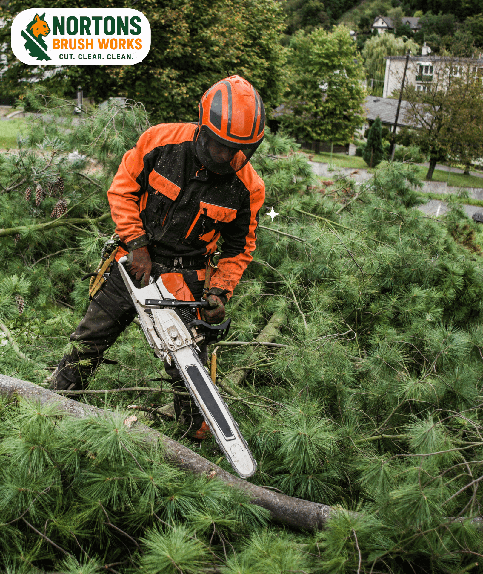 Nortons Brush Works team providing land clearing and mulching services