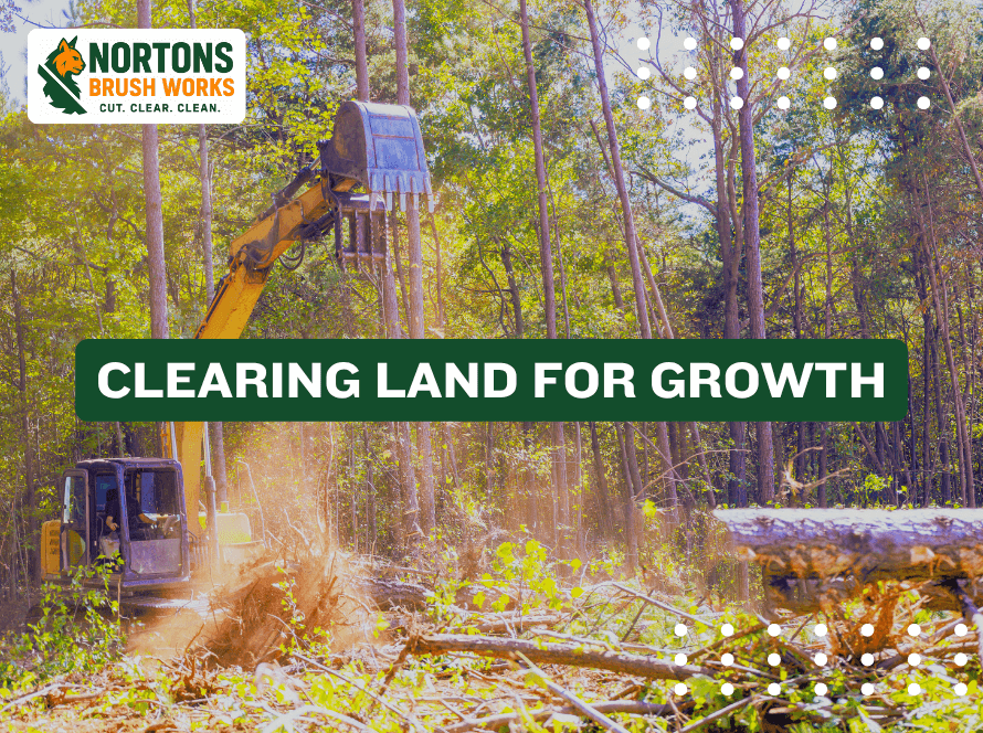 Forestry mulcher clearing brush on a commercial field