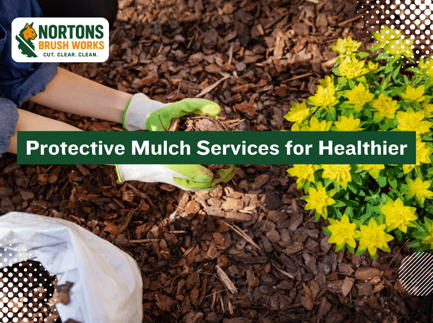Protective mulch services improving soil health, moisture retention, and erosion control