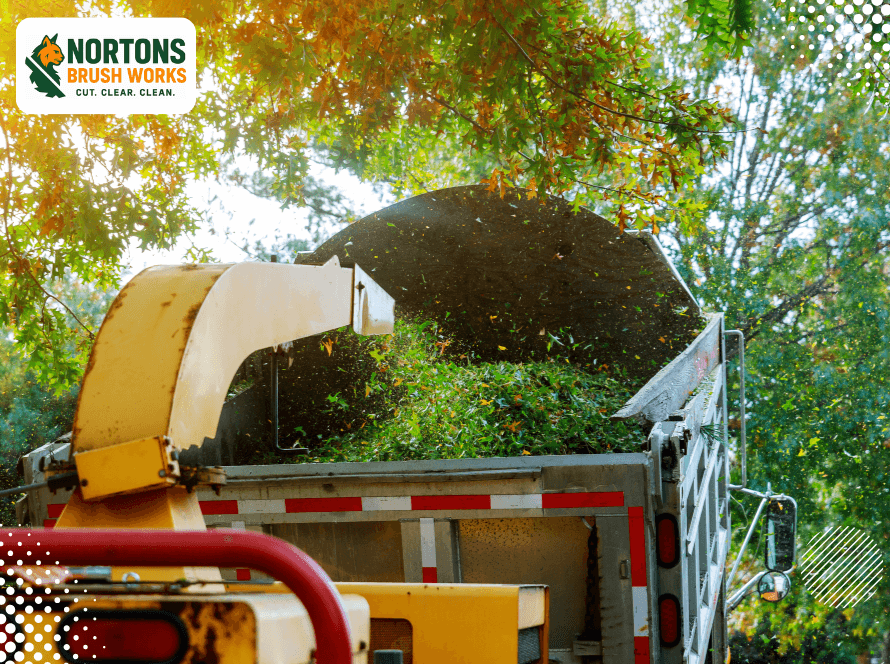Professional forestry mulcher clearing dense vegetation for sustainable land management