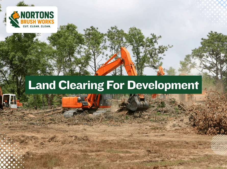 Land Clearing Services