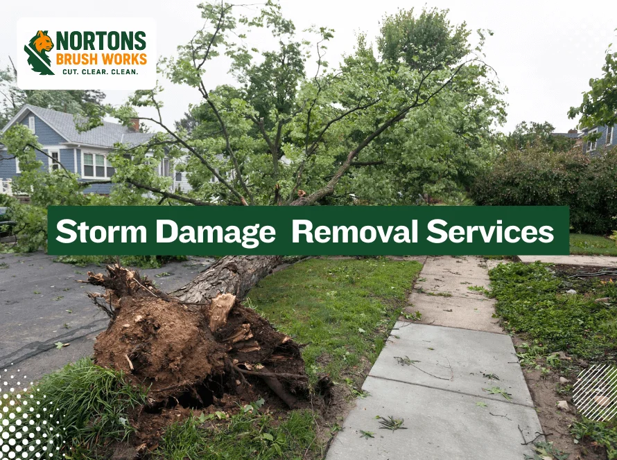 Storm Damage Removal Services