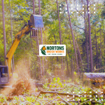 Recent post thumbnail