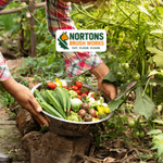 Vegetation management services