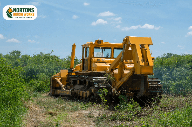 Forest mulching that turns trees and brush into protective mulch