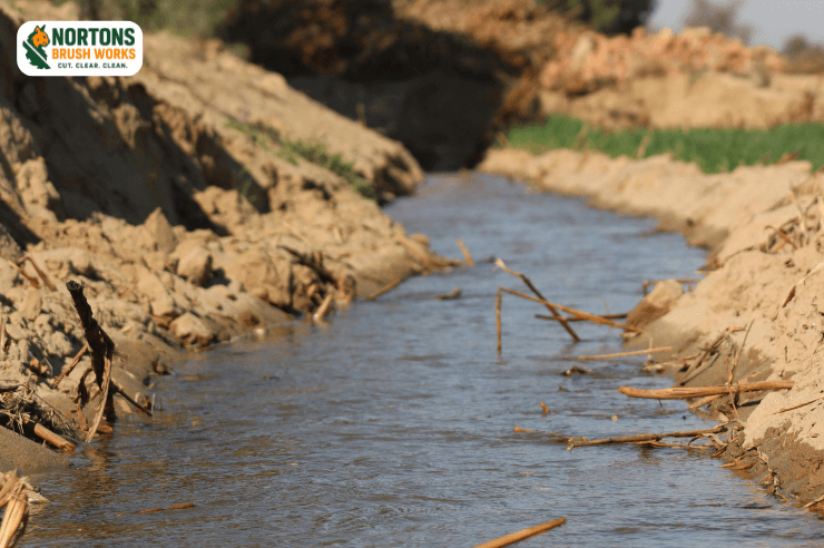 Drainage ditch clearing to improve water flow and prevent flooding