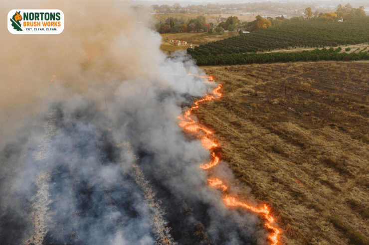 Firebreak creation and wildfire mitigation services