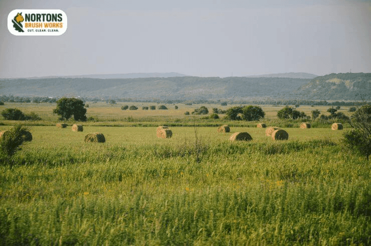 Pasture and ranch land clearing for agricultural use