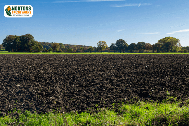Seeding after land clearing for erosion control and regrowth