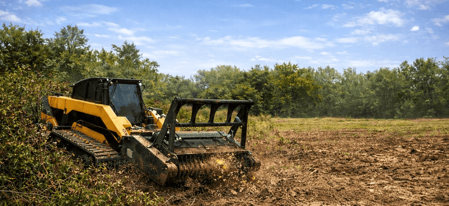 Expansive green pasture fully restored and stabilized following professional land clearing