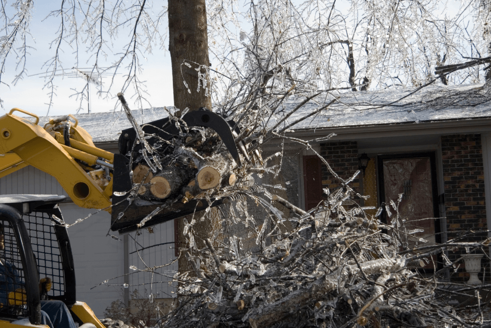 Chainsaw crew sectioning a downed tree after a storm