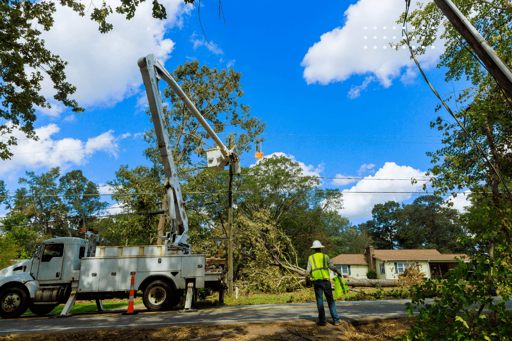 Clean yard after storm debris removal