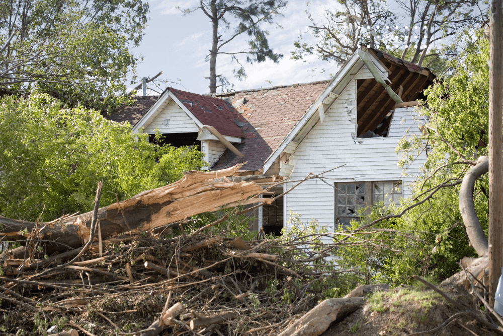 Crew removing storm-fallen trees and debris from a residential property