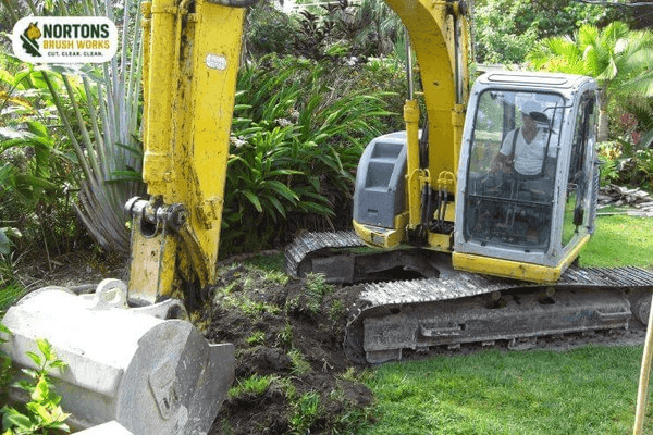 Excavator extracting stubborn root ball for complete construction prep