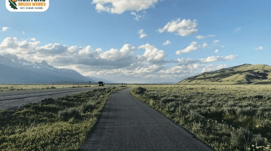 Track skid steer cutting smooth access road and recreational trail through dense forest