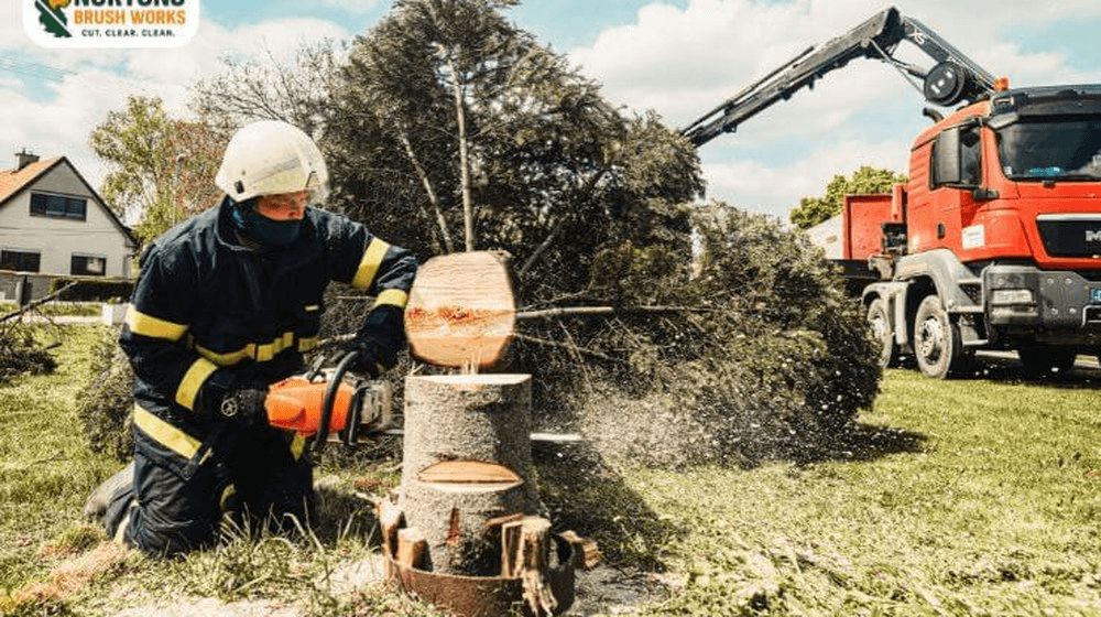 Excavator with hydraulic tree shear safely removing damaged and overgrown trees
