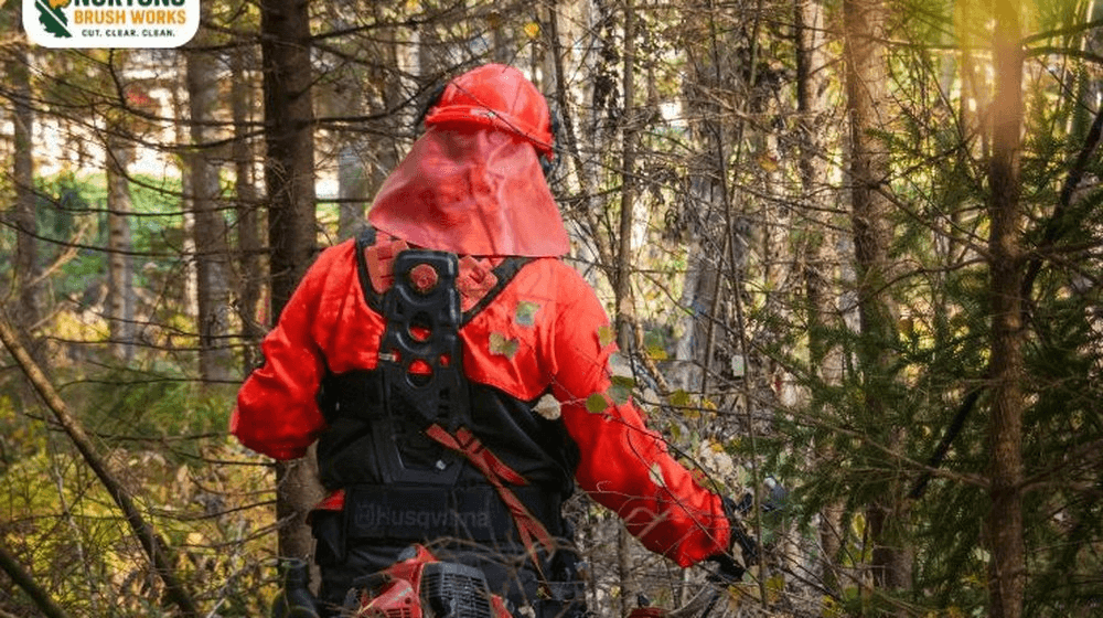 Track mulcher cutting thick underbrush beneath mature hardwood tree canopy